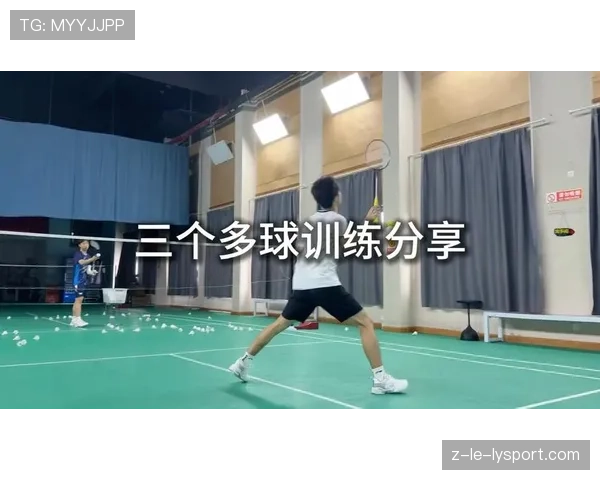 国际羽毛球赛场科学训练案例分享，国际羽毛球赛场科学训练案例分享视频